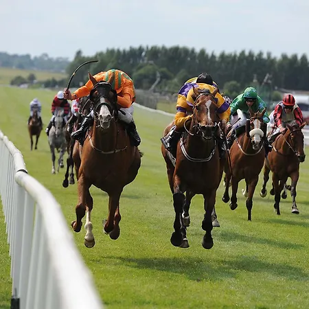 Eagle View By Trident Homes Feriehus